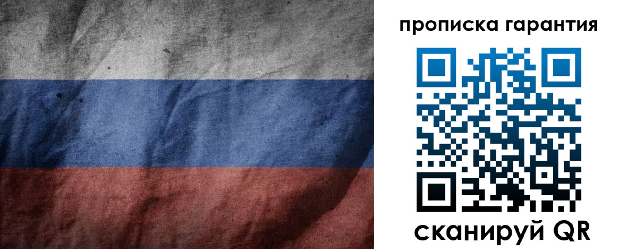 временная регистрация поиск в Коле
